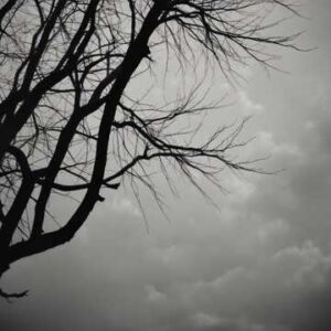 Rein It In (Version 2)