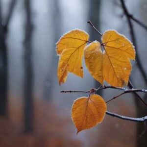 珍惜你的起跑線 (Version 2)