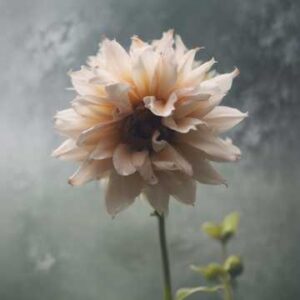 How Could I Not Feel It