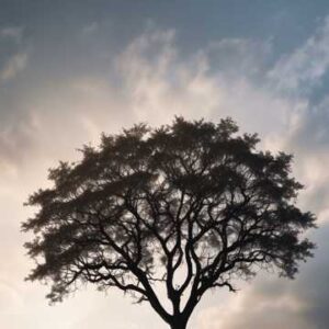 <div class="wcmp-player-container product-5184"><audio controlslist="nodownload" data-product="5184"  volume="1" id="5184" preload="none" data-lazyloading="metadata" class="wcmp-player track mejs-wmp" data-duration="2:40"><source src="https://www.hoppop.online/wp-content/uploads/wcmp/5189d6e502c168dffd541f8a3fa93118.mp3" type="audio/mp3" /></audio></div>別再說